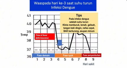 Beda-Pola-Demam-Dengue-dan-Demam-COVID-19